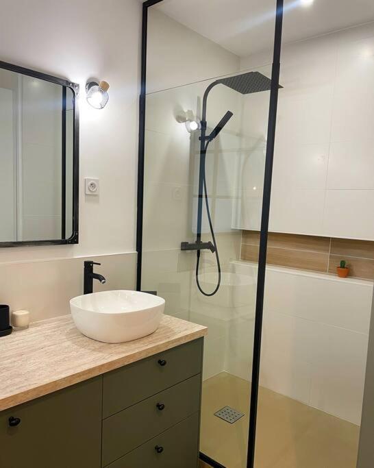 Appartement De Prestige A Saint-Rémy-de-Provence Kültér fotó